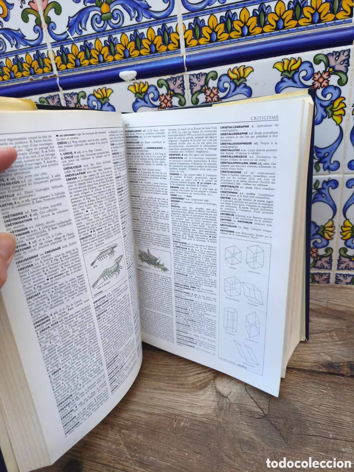 Libros: Diccionario Petit Larousse en Couleurs - Foto 3