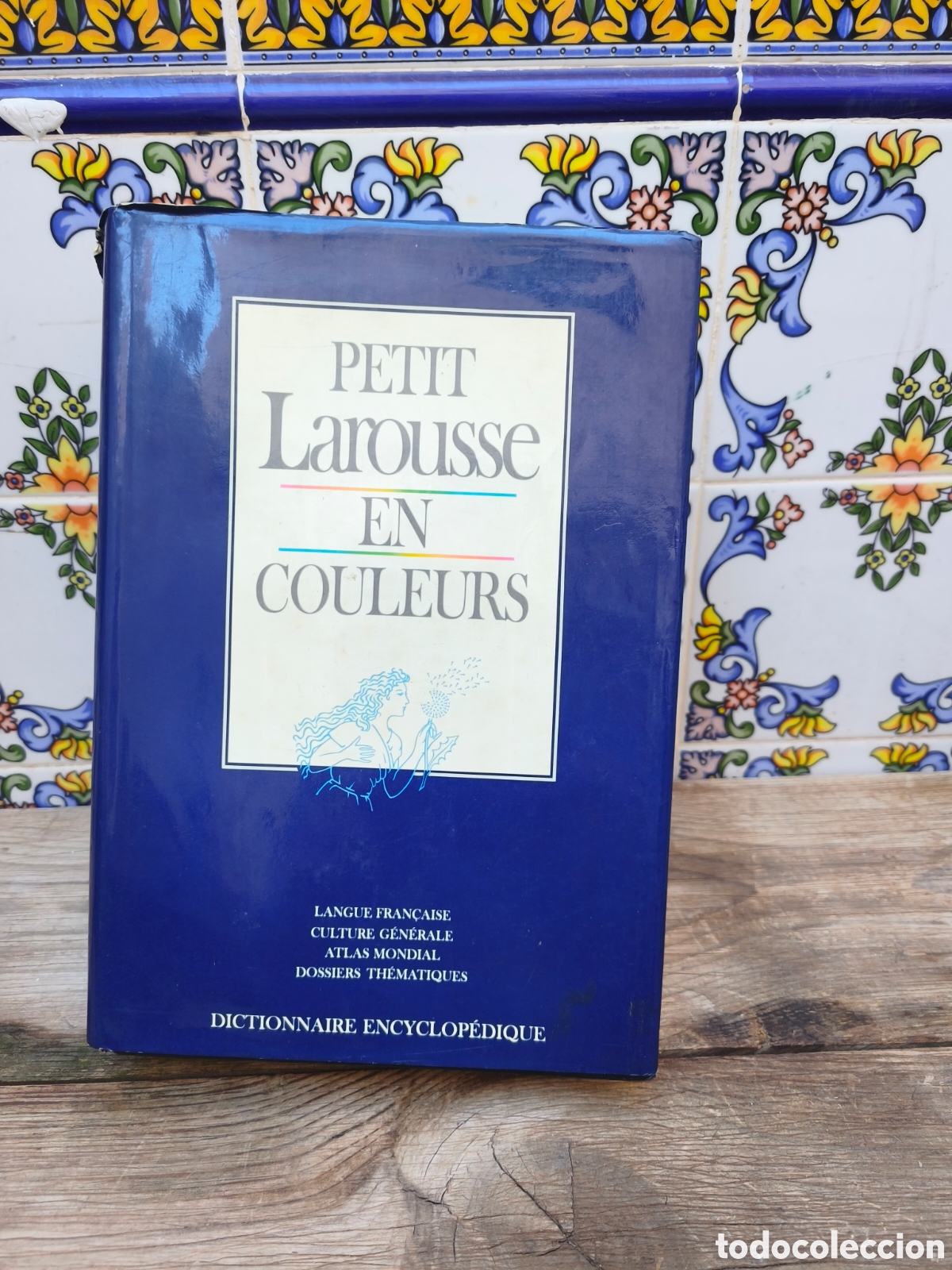 Libros: Diccionario Petit Larousse en Couleurs