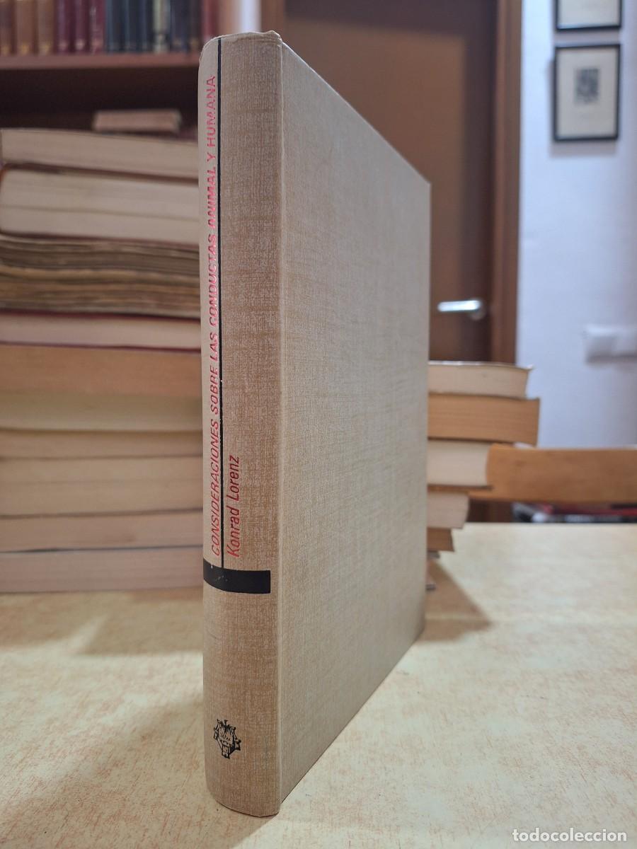 B&uuml;cher: CONSIDERACIONES SOBRE LAS CONDUCTAS ANIMAL Y HUMANA. - LORENZ, KONRAD.