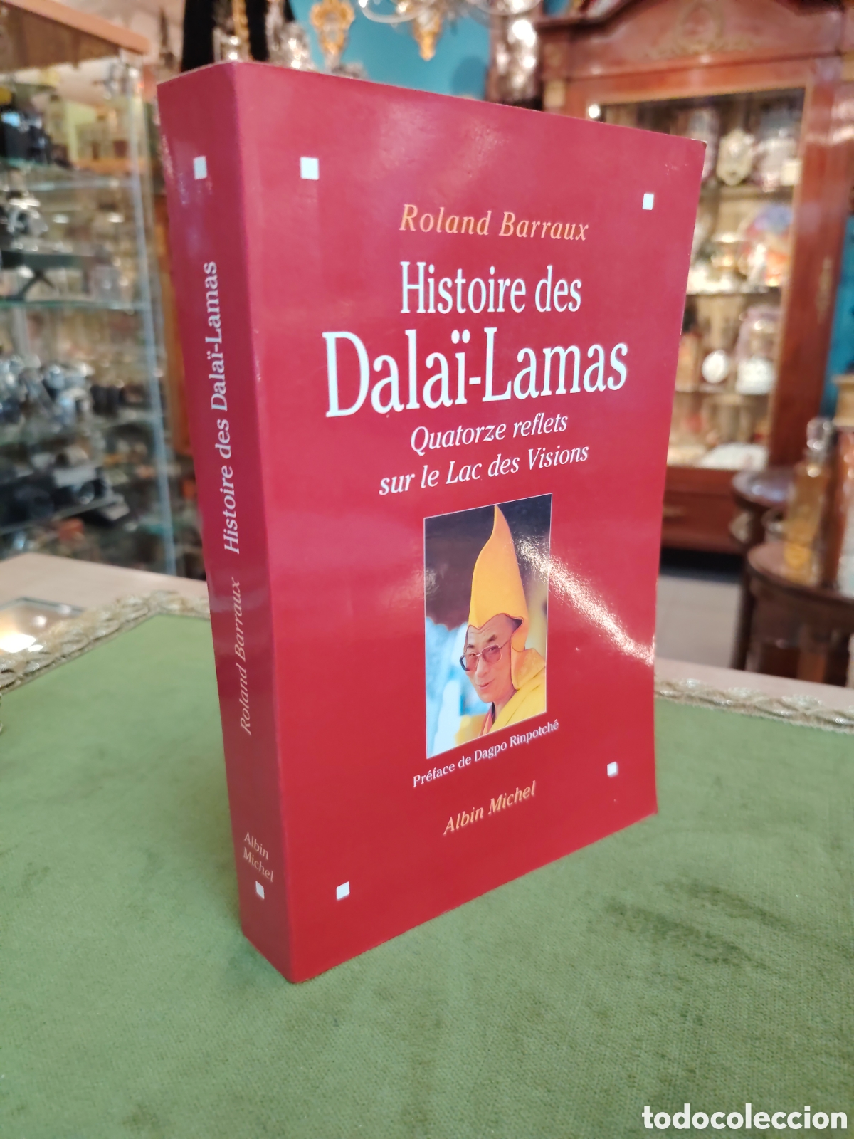 Libros: Histoire des Dala&iuml;-Lamas: Quatorze reflets sur le Lac des Visions, escrito por Roland Barraux