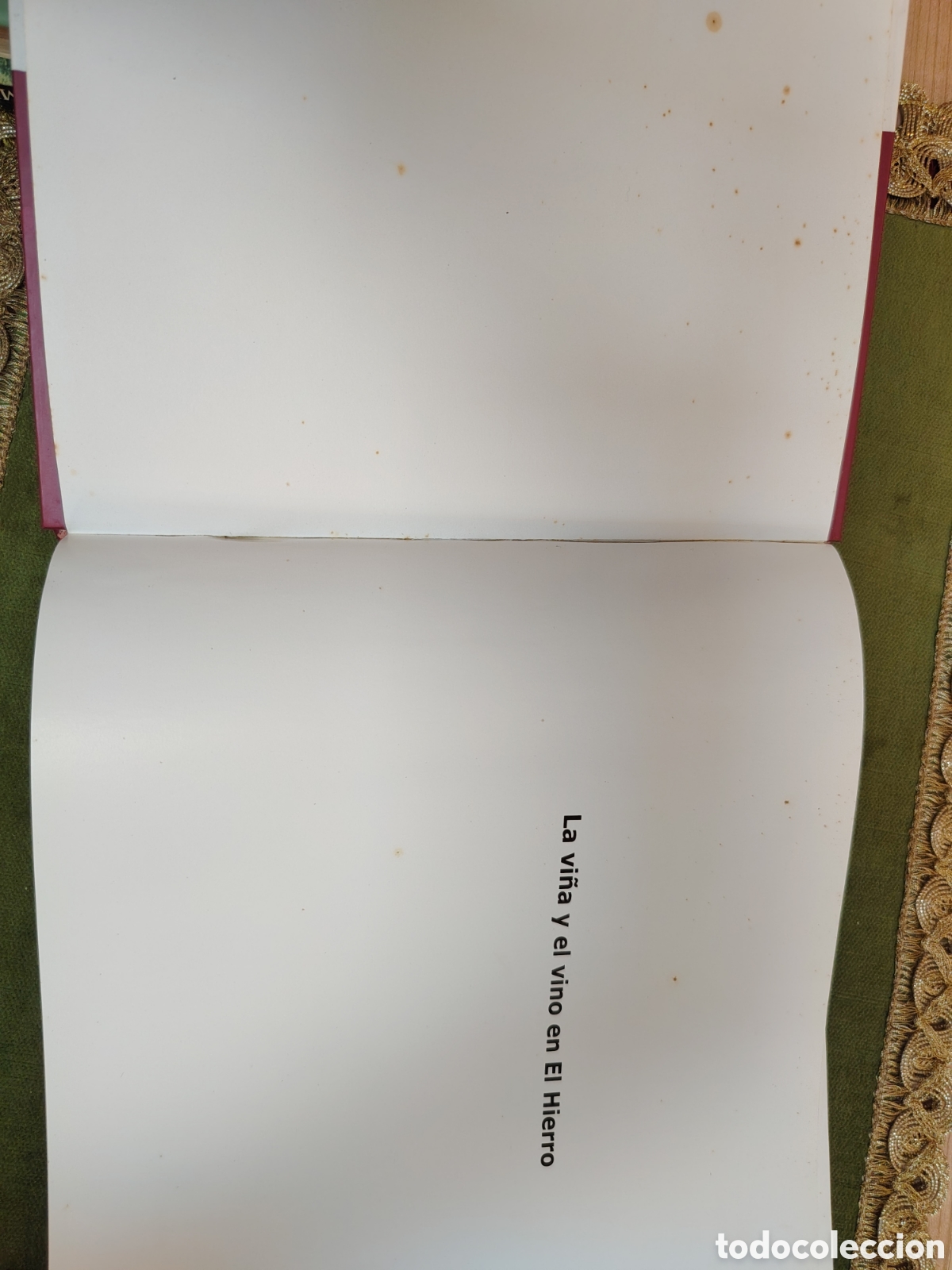 Libros: La vi&ntilde;a y el vino en El Hierro. - Foto 6
