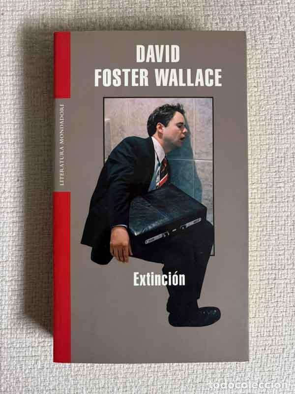 books: Extinci&oacute;n - David Foster Wallace