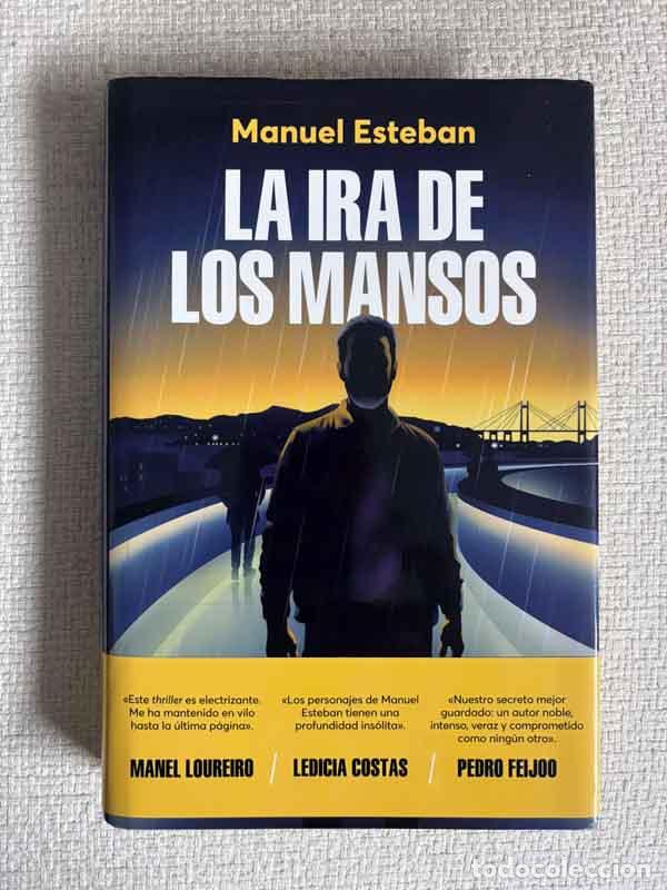 Libros: La ira de los mansos - Manuel Esteban - Foto 1