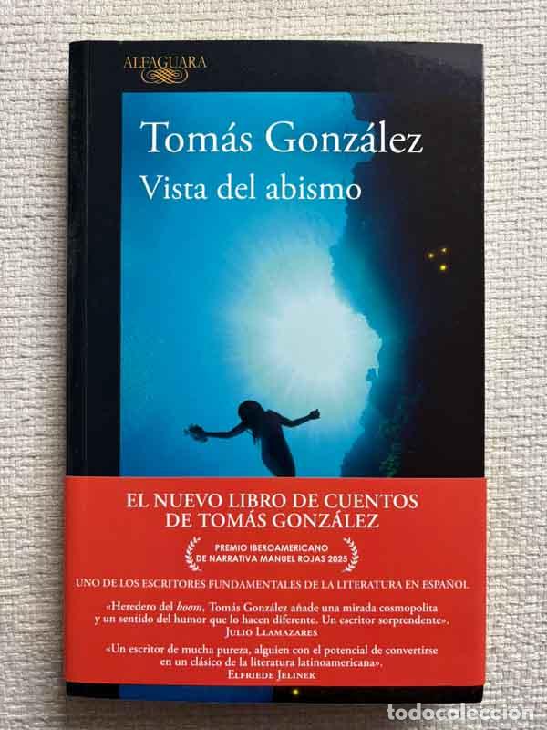 Livros em segunda m&atilde;o: Vista Del Abismo - Tom&aacute;s Gonz&aacute;lez