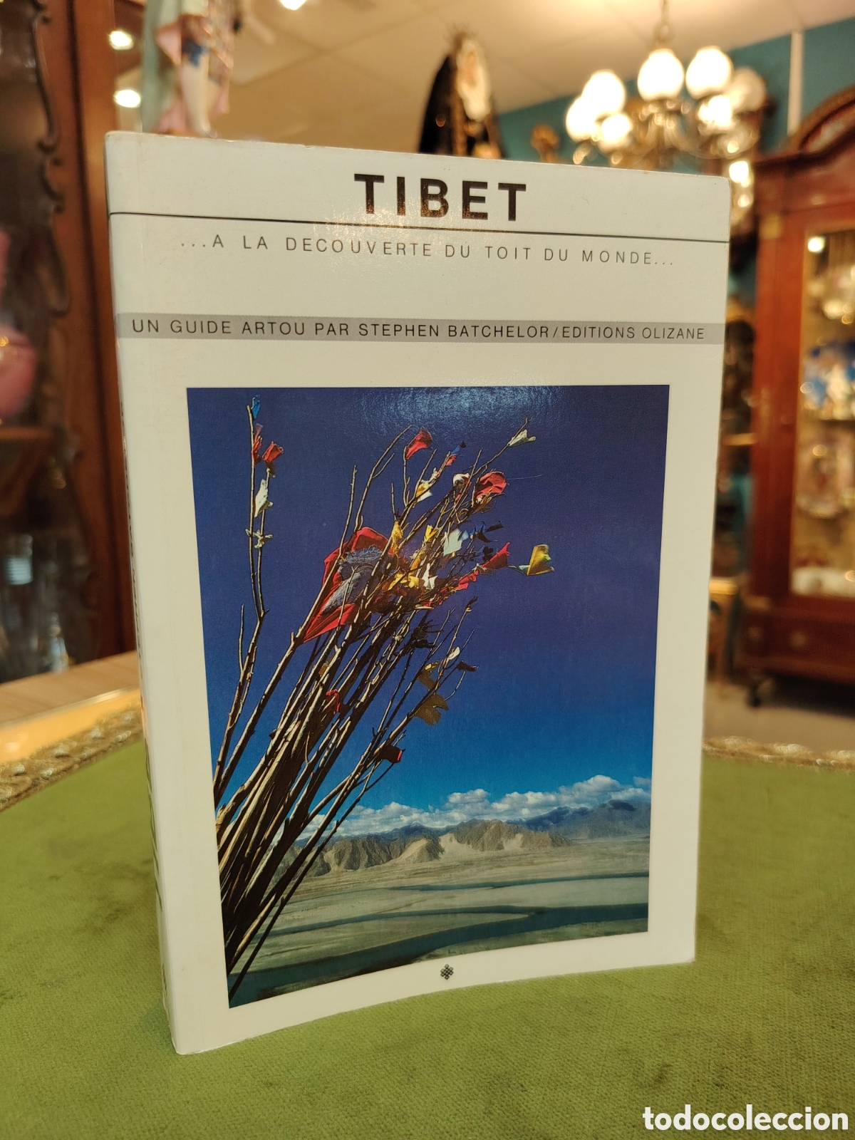 Libros: Tibet: ...&agrave; la d&eacute;couverte du toit du monde..., una gu&iacute;a de viaje escrita por Stephen Batchelor