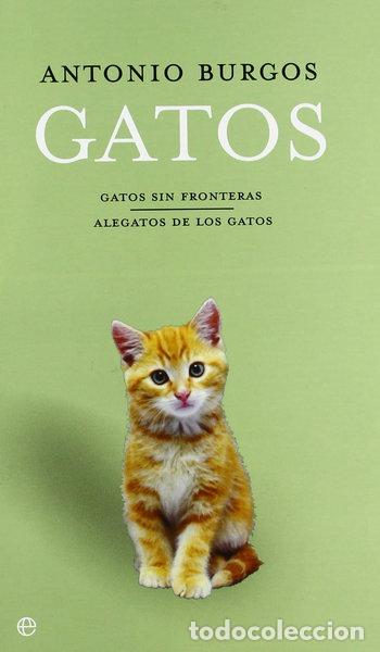 Libros: Estuche gatos- 9788497343992 - Foto 1