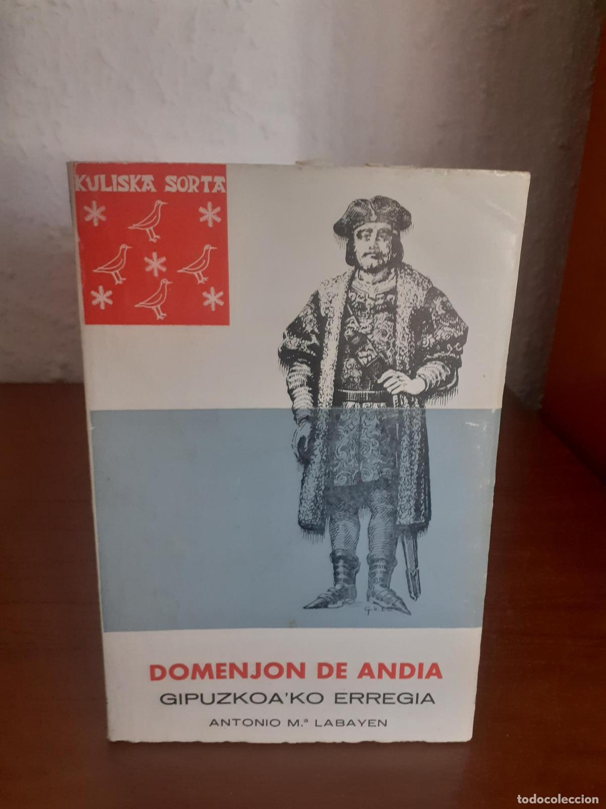Libros: Domenjon de Andia, gipuzkoa'ko erregia - Labayen, Antonio M&ordf;