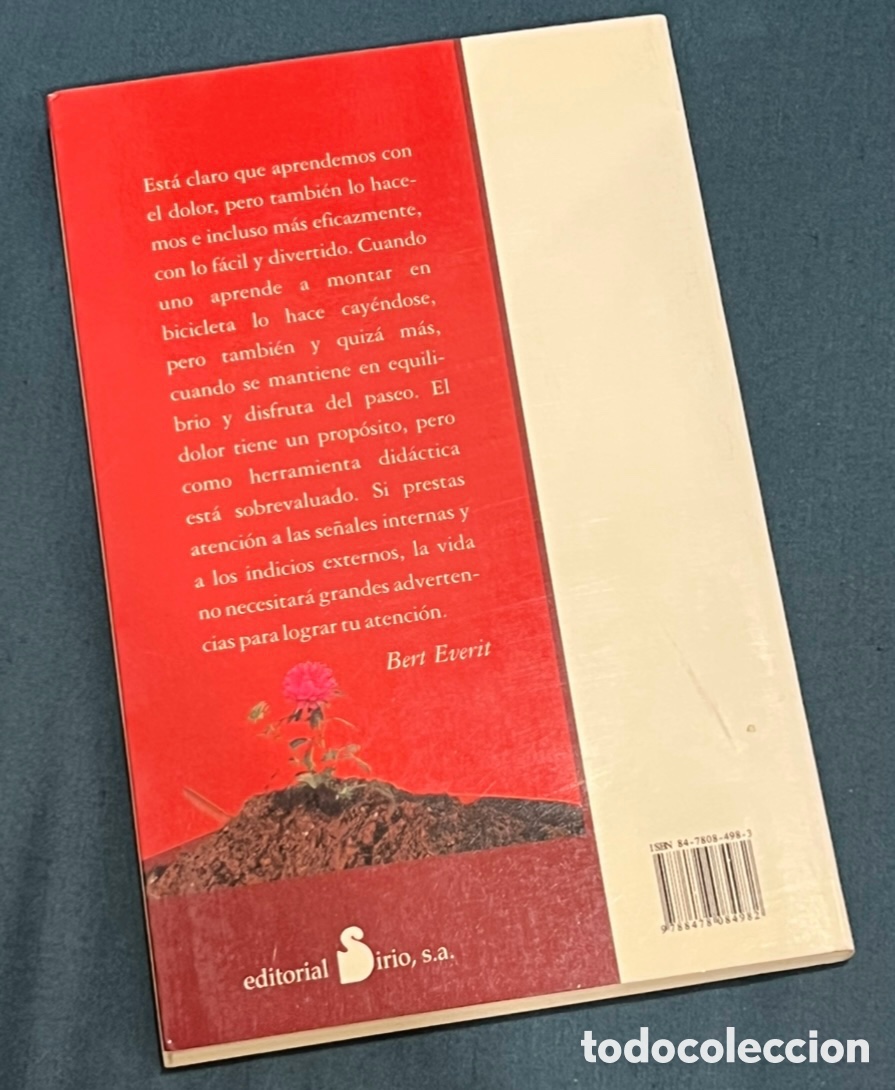 Libros: Libro. Alan H. Cohen. &ldquo;El secreto del Sr. Everit&rdquo;. Ed. Sirio. 2005. - Foto 2
