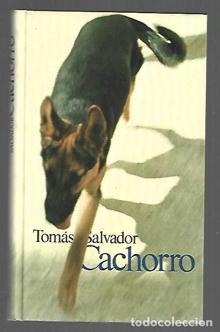 Libros: CACHORRO - SALVADOR, TOMAS - Foto 1