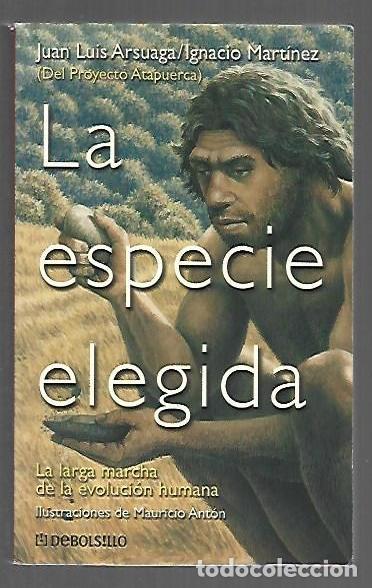 Libros: ESPECIE ELEGIDA - LA - ARSUAGA, JUAN LUIS E IGNACIO MARTINEZ - Foto 1