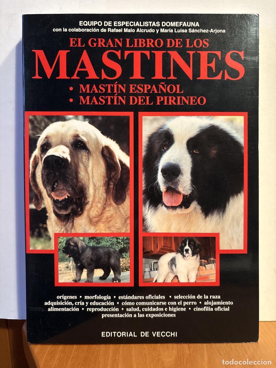 Livres: EL GRAN LIBRO DE LOS MASTINES - Equipo de Especialistas Domefauna TDK223