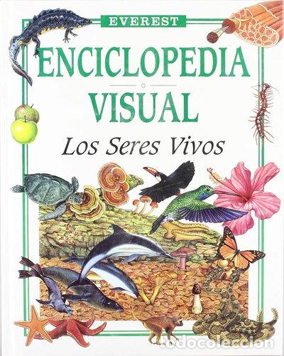 Libros: Los Seres Vivos- 9788424119959
