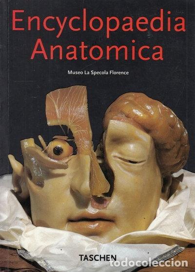 Libros: Encyclopaedia Anatomica- 9783822873915 - Foto 1