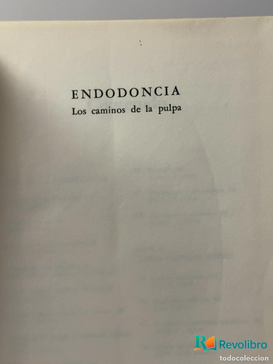 Libros: Endodoncia: los caminos de la pulpa - Stephen Cohen, Kenneth M. Hargreaves