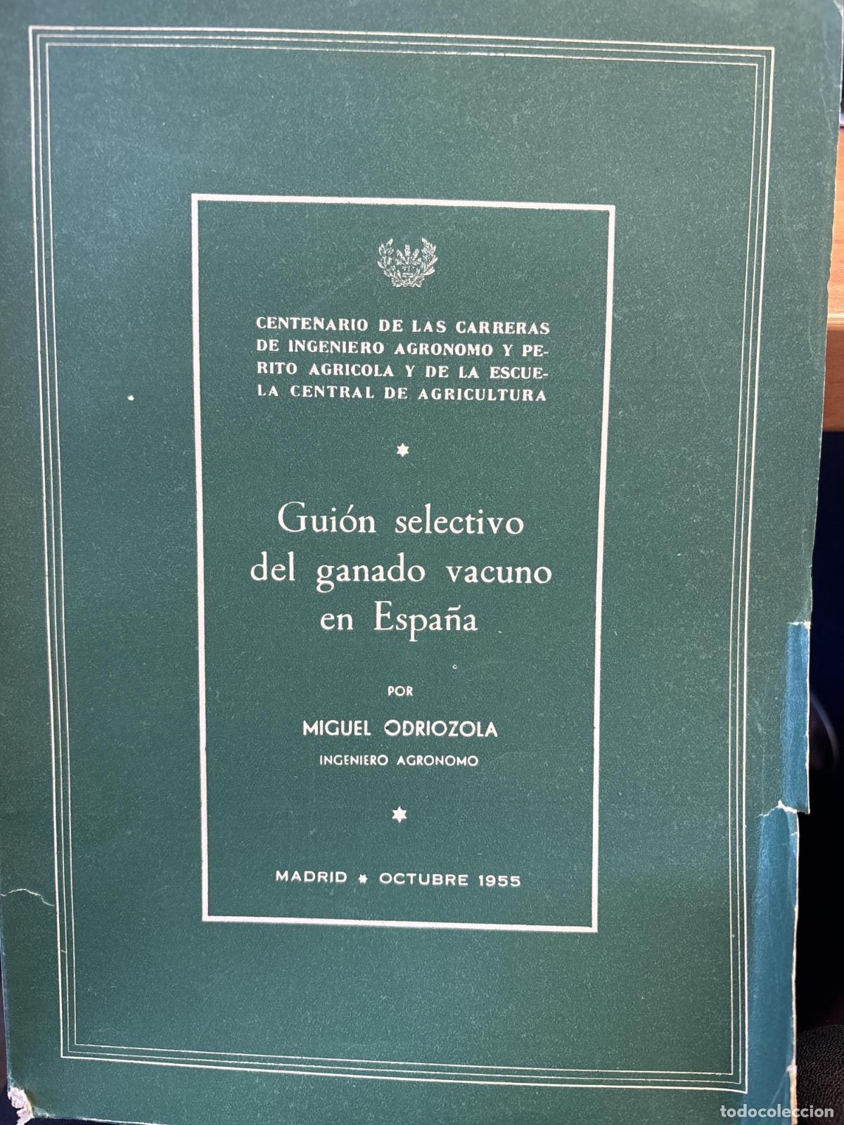 books: GUION SELECTIVO DEL GANADO VACUNO EN ESPA&Ntilde;A -