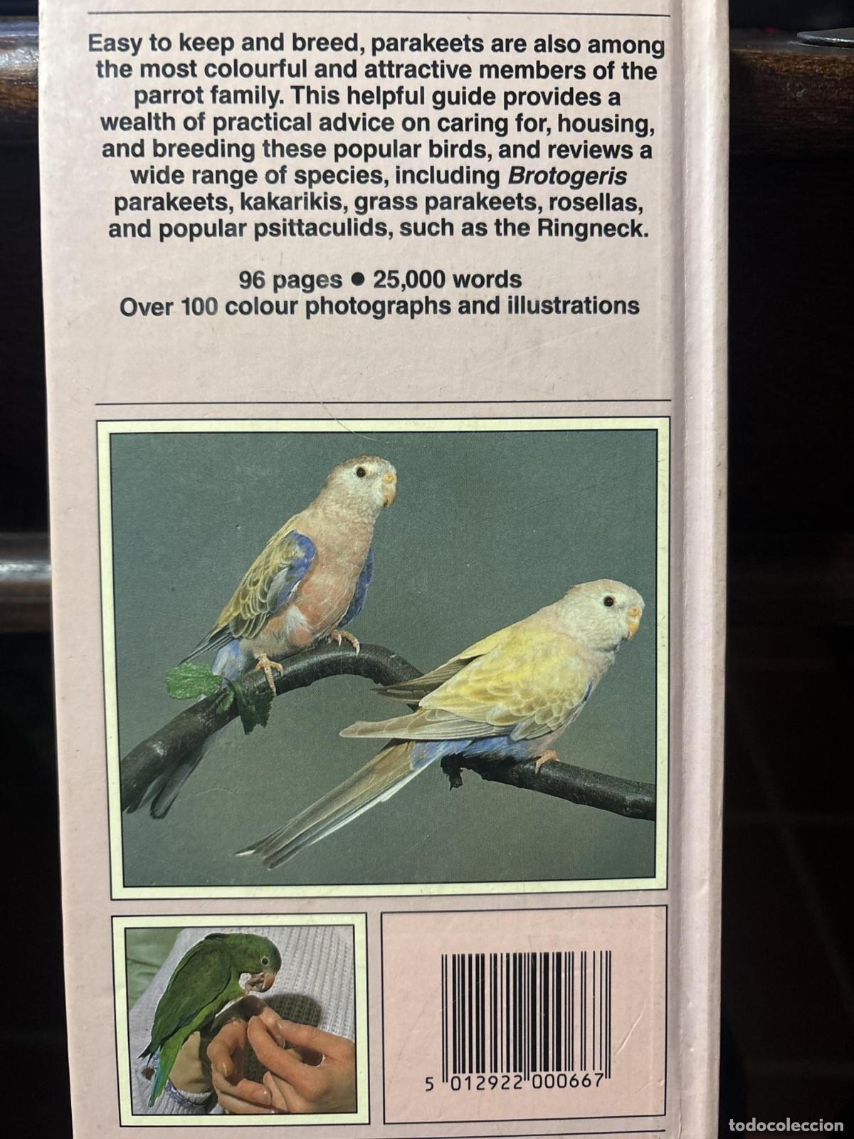 Libros: PARAKEETS - DAVID ALDERTON - Foto 3