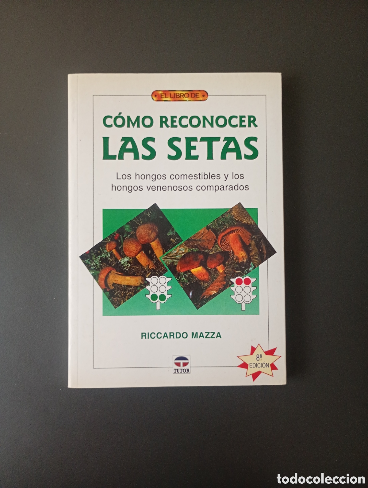 Libros: Como reconocer las setas Ricardo maza - Foto 1