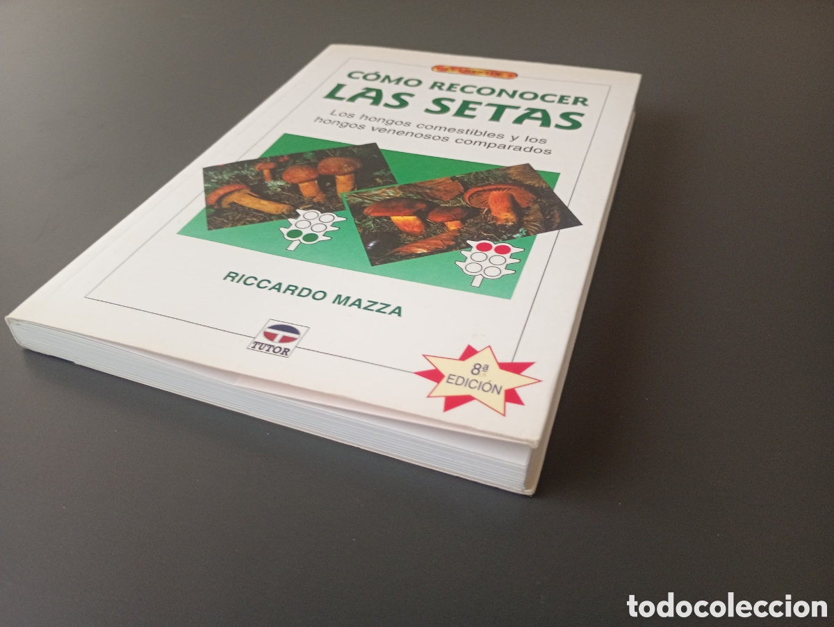 Libros: Como reconocer las setas Ricardo maza - Foto 6