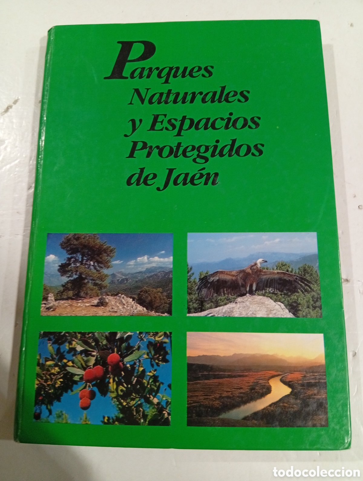Libros: Parques naturales y espacios protegidos de Ja&eacute;n - Foto 1