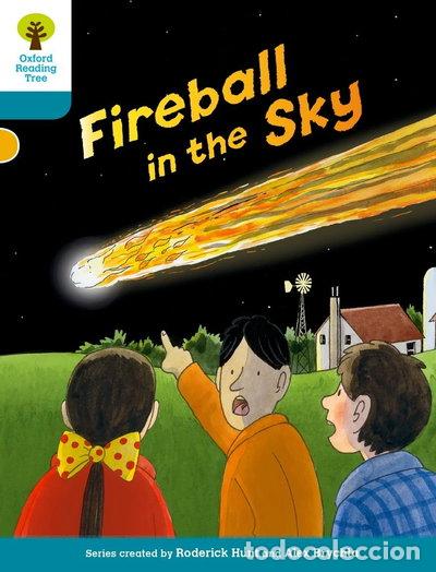 Libros: Fireball in the Sky- 9780198300441