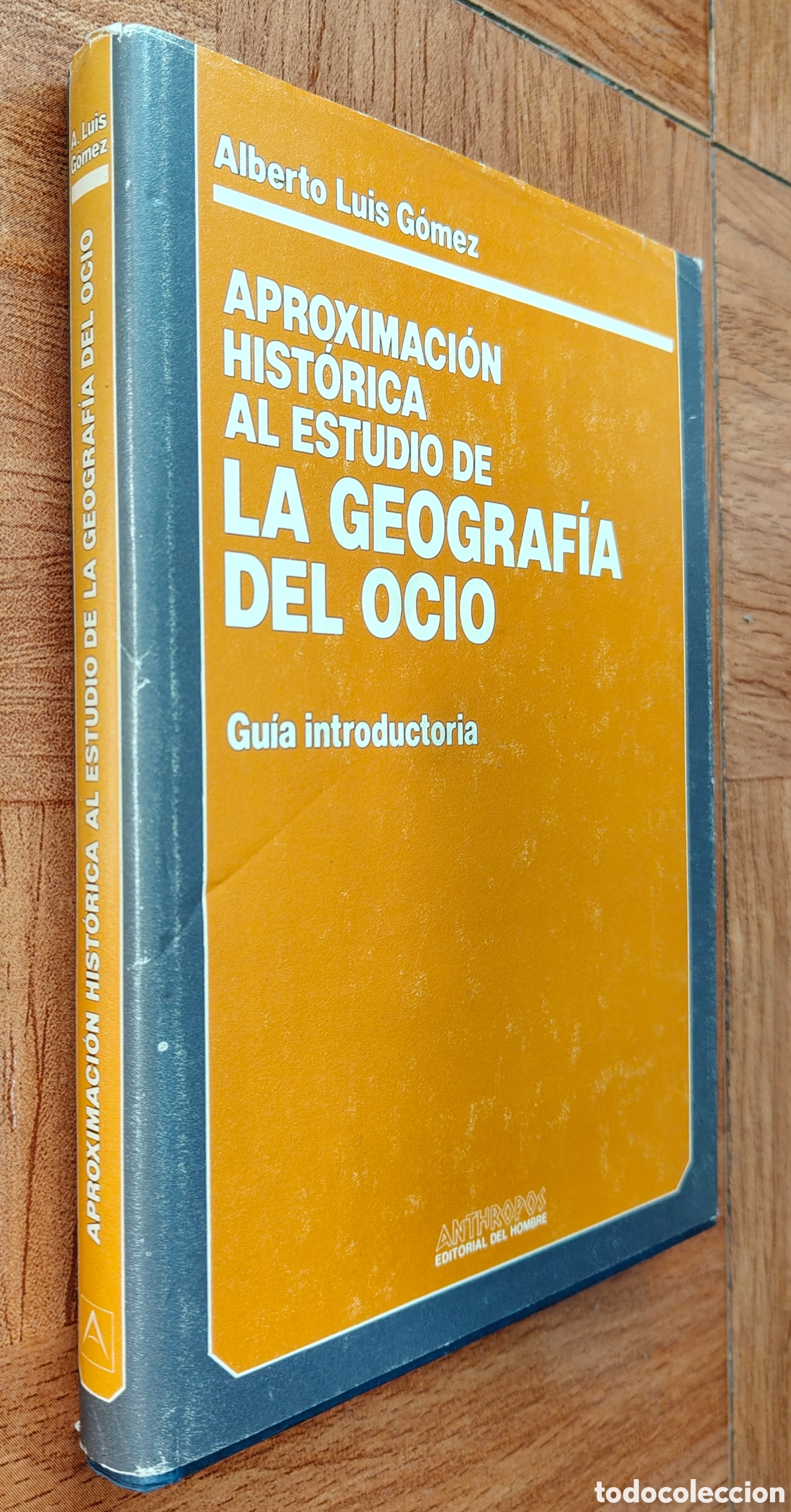 books: Aproximaci&oacute;n Hist&oacute;rica al Estudio de La Geograf&iacute;a del Ocio - Alberto Luis G&oacute;mez