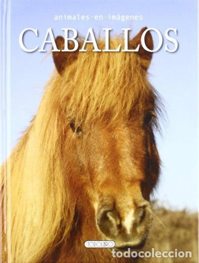 Libros: Caballos- 9788499135335