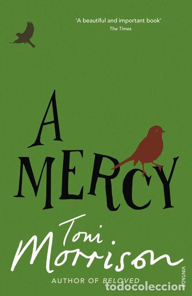 B&uuml;cher: A Mercy- 9780099502548
