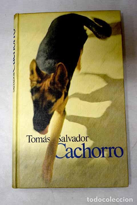Libri di seconda mano: Cachorro: Salvador, Tom&aacute;s.- Salvador, Tom&aacute;s