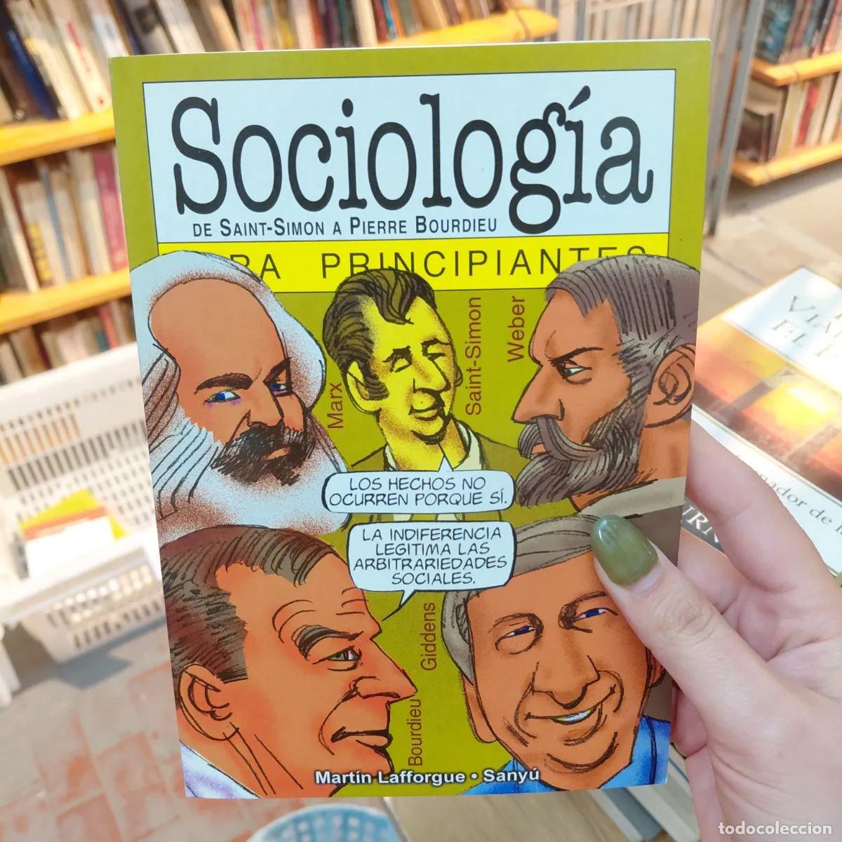 books: Sociologia para principiantes - Lafforgue, Sanyu