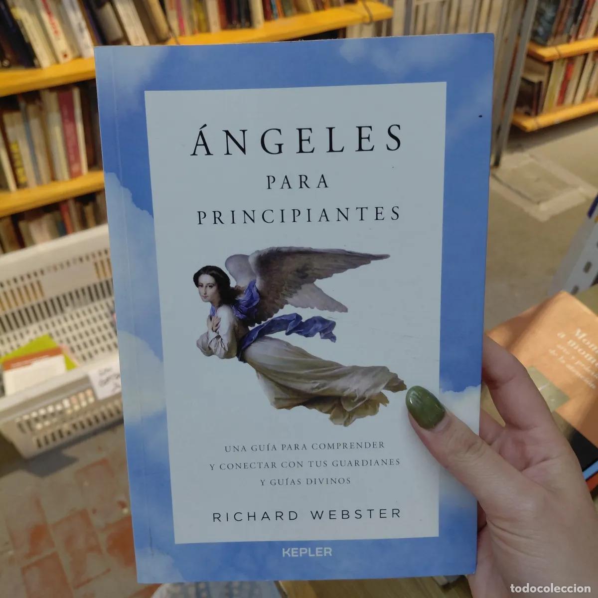 books: Angeles para principiantes - Webster