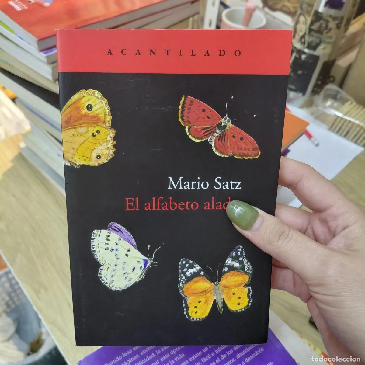 books: El alfabeto alado - Satz