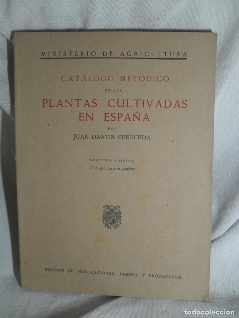 B&uuml;cher: CATALOGO METODICO DE LAS PLANTAS CULTIVADAS EN ESPA&Ntilde;A - JUAN DATIN CERECEDA