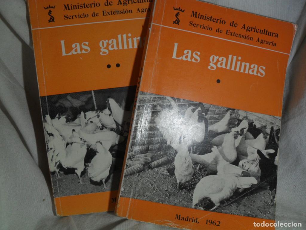 B&uuml;cher: LAS GALLINAS DOS TOMOS - VARIOS