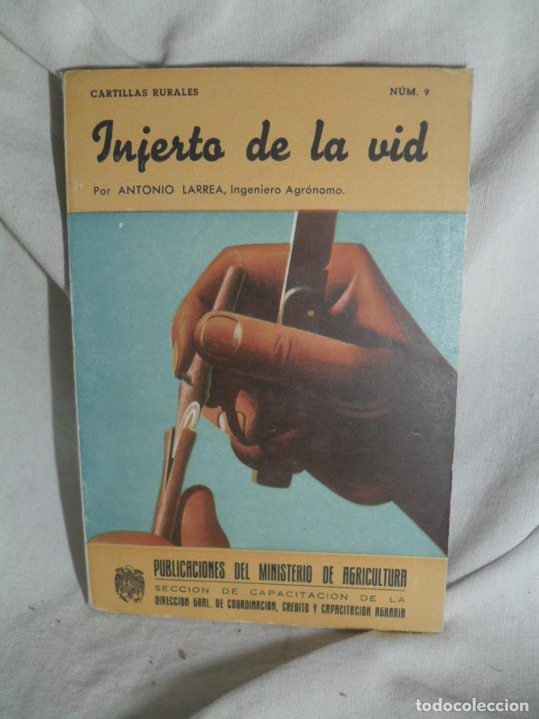 Libros: INJERTO DE LA VID - ANTONIO LARREA - Foto 1