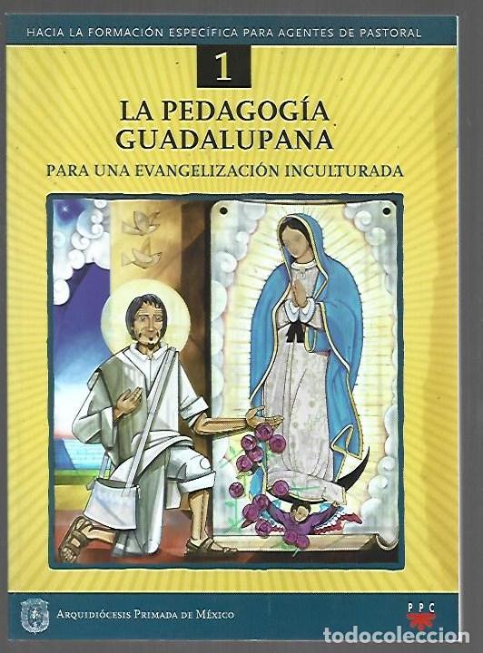 books: PEDAGOGIA GUADALUPANA - LA - VARIOS