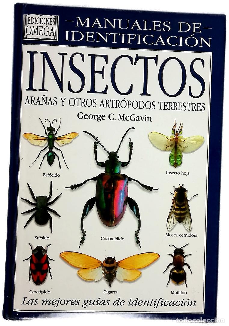 Libri di seconda mano: Insectos - McGavin, George