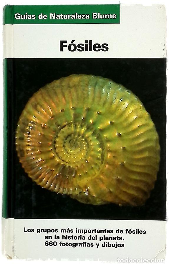 Libros: F&oacute;siles - Beurlen, Karl; Lichter, Gerhard; Wendler, Fritz