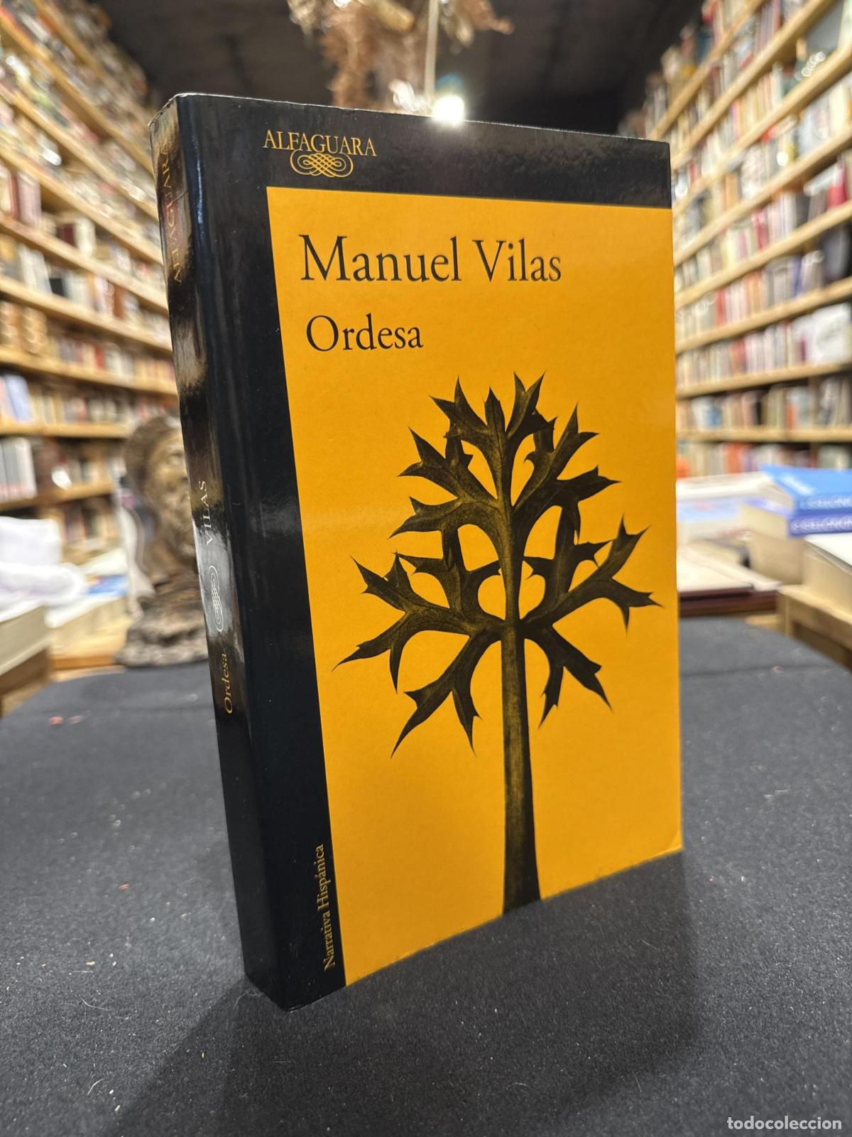 B&uuml;cher: Ordesa - Manuel Vilas