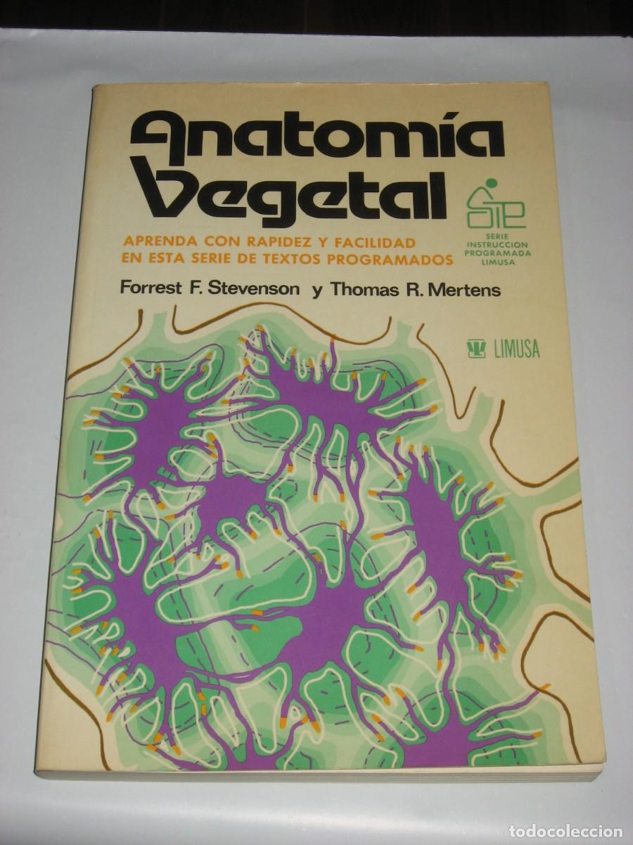 Libri di seconda mano: ANATOM&Iacute;A VEGETAL Aprenda con rapidez y facilidad en esta serie de textos programados - Forrest F. St