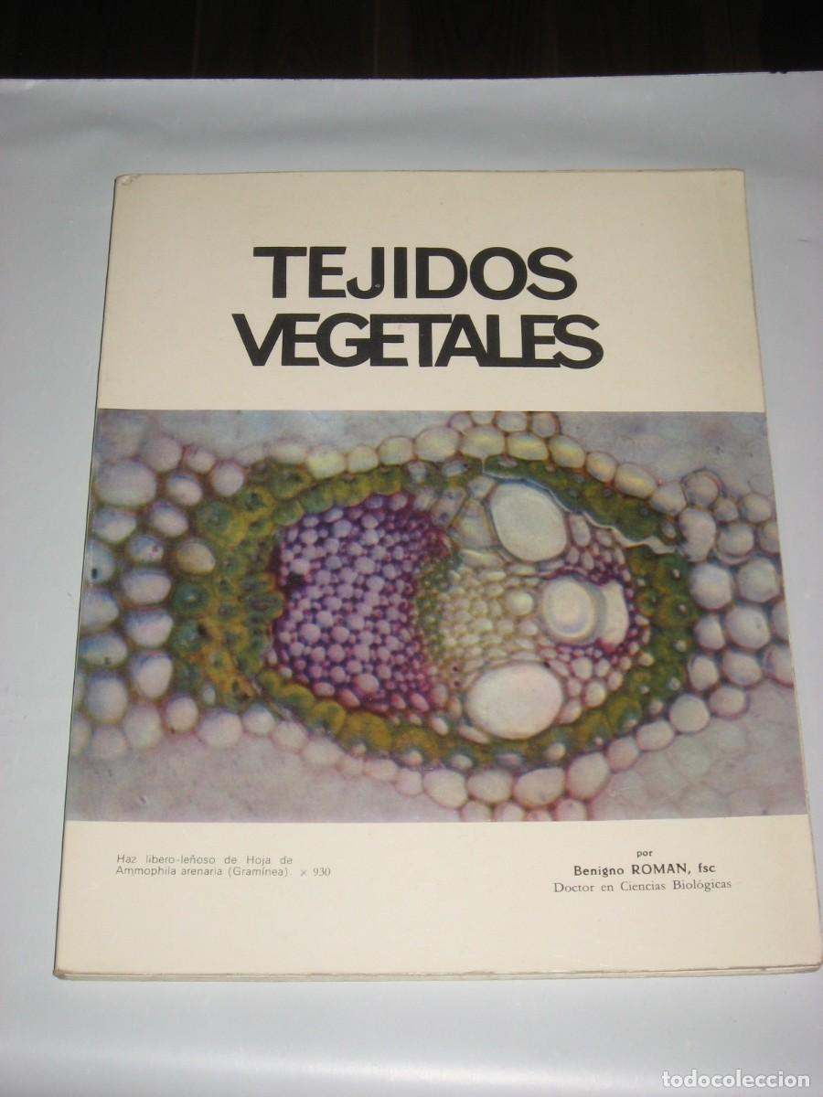 Libri di seconda mano: TEJIDOS VEGETALES - por Benigno Roman, fsc