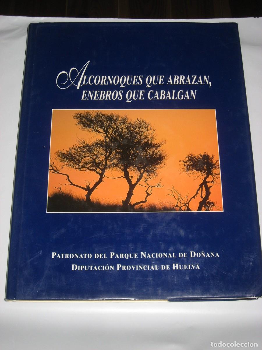 Libri di seconda mano: ALCORNOQUES QUE ABRAZAN, ENEBROS QUE CABALGAN - Jes&uacute;s Casas Grande