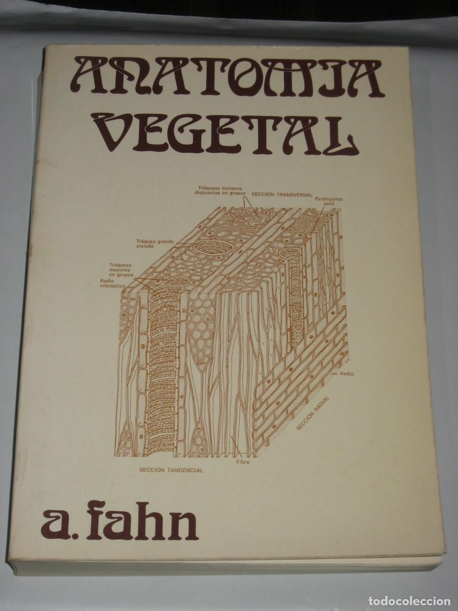 books: ANATOM&Iacute;A VEGETAL - A. Fahn