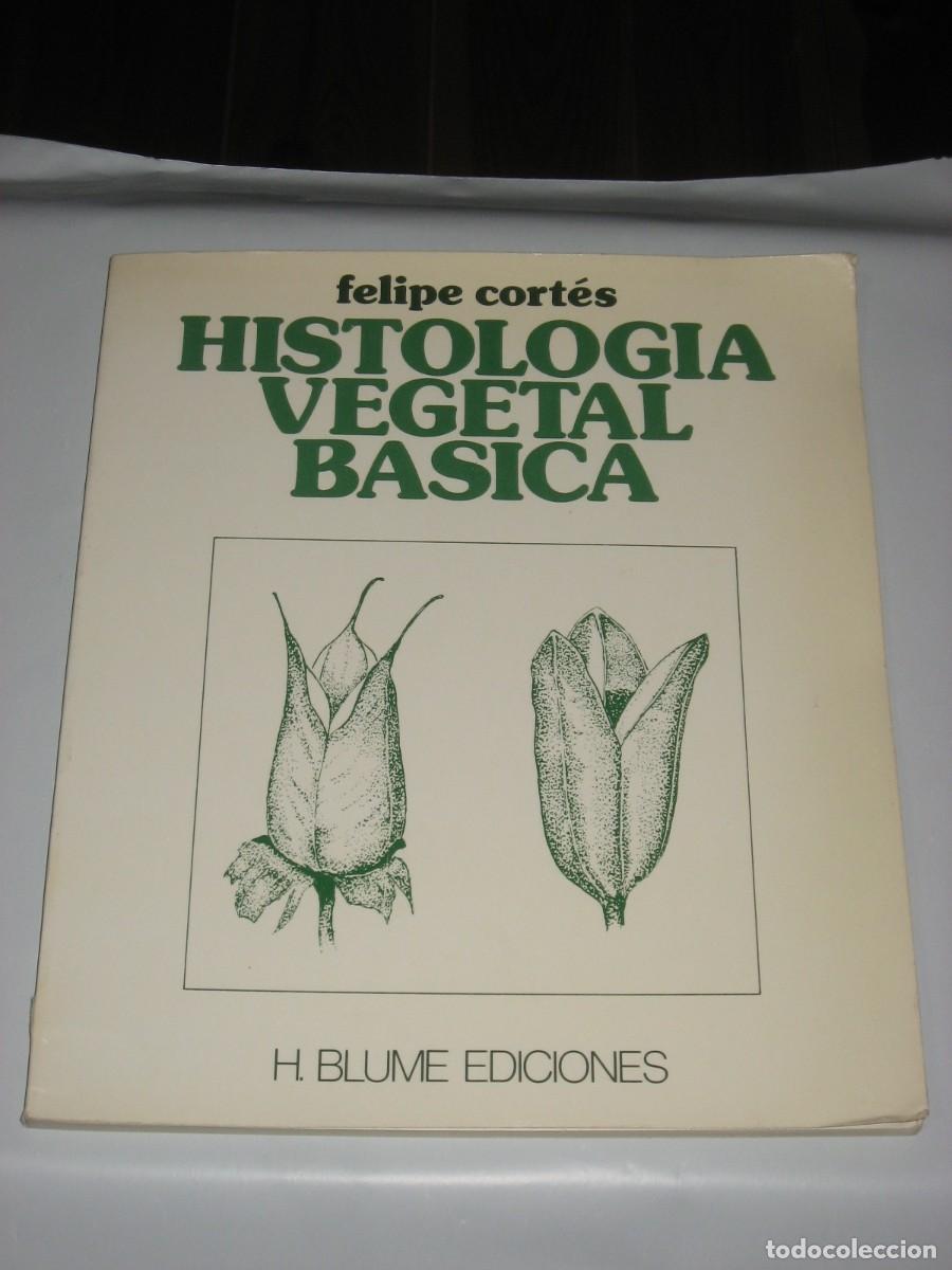 Libri di seconda mano: HISTOLOG&Iacute;A VEGETAL B&Aacute;SICA - Felipe Cort&eacute;s
