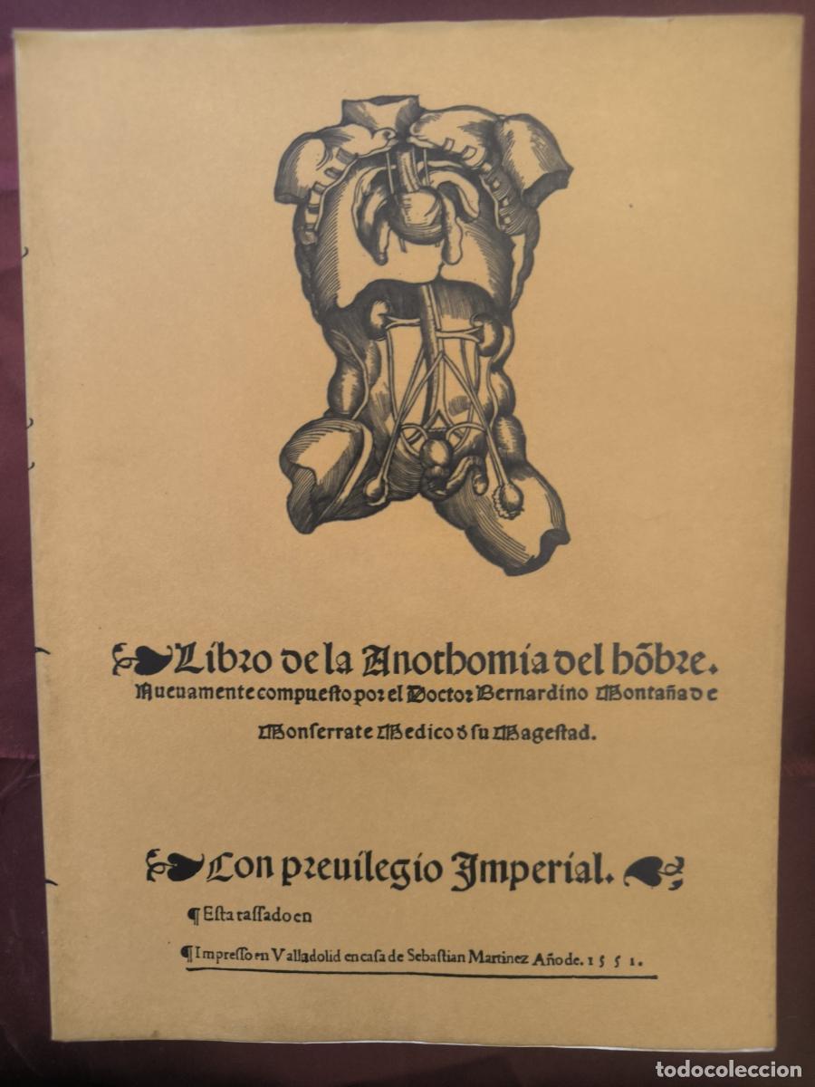 Libros: Libro de la anothomia del hombre, nuevamente compuesto por el Doctor Bernardino - Bernardino Monta