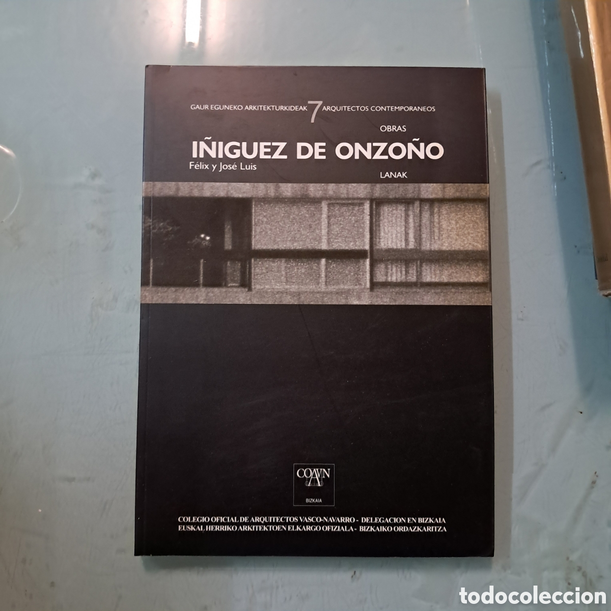 Libros: I&Ntilde;IGURZ DE ONZO&Ntilde;O, Colegio de arquitectos Vasco navarro
