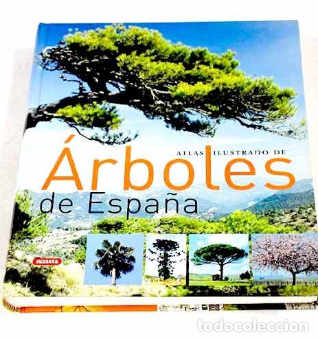 Libri di seconda mano: Atlas ilustrado de arboles de Espa&ntilde;a
