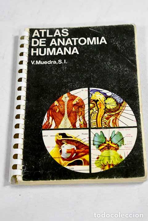 Libros: Atlas de Anatomia humana.- Muedra, V.