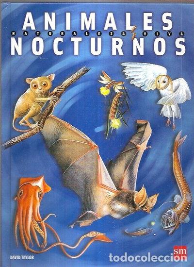 Libros: Animales nocturnos- 9788434892910