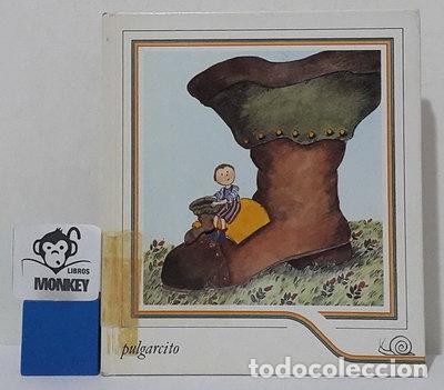 Livres: Pulgarcito- 9788424619053