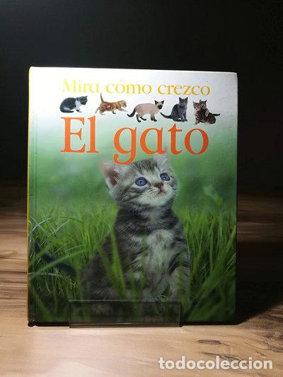 Libros: El Gato- 9788467215816 - Foto 1